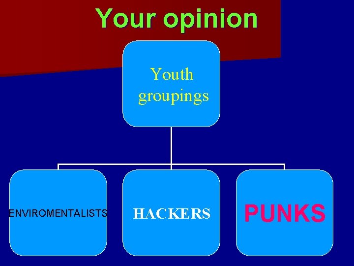 Your opinion Youth groupings ENVIROMENTALISTS HACKERS PUNKS 