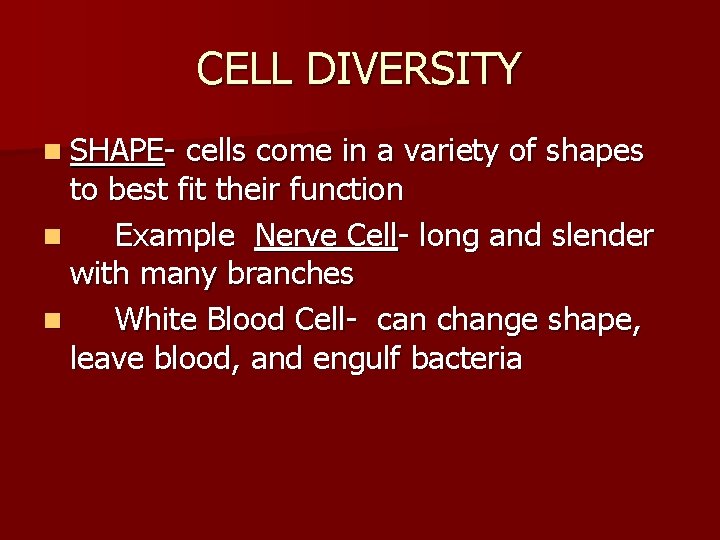 CELL DIVERSITY n SHAPE- cells come in a variety of shapes to best fit