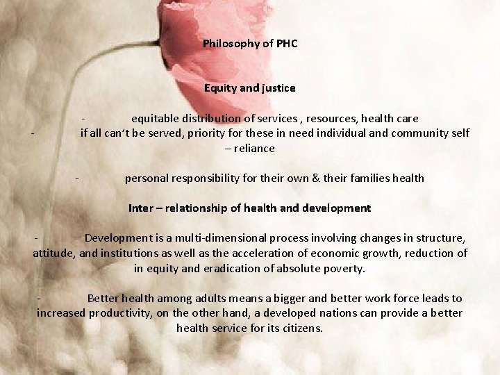 Philosophy of PHC Equity and justice equitable distribution of services , resources, health care