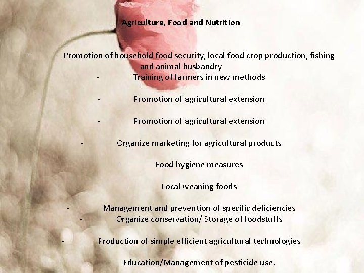 Agriculture, Food and Nutrition - Promotion of household food security, local food crop production,