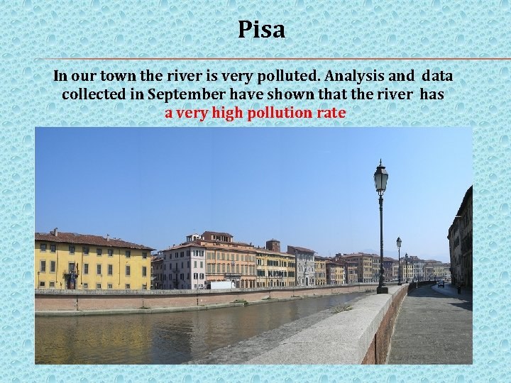Pisa In our town the river is very polluted. Analysis and data collected in
