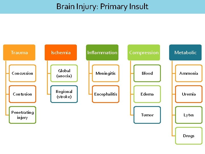 Brain Injury: Primary Insult Trauma Ischemia Inflammation Compression Metabolic Concussion Global (anoxia) Meningitis Blood