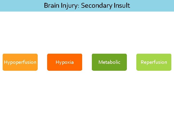 Brain Injury: Secondary Insult Hypoperfusion Hypoxia Metabolic Reperfusion 