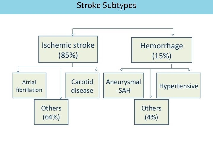 Stroke Subtypes 