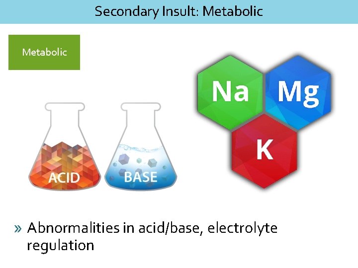 Secondary Insult: Metabolic » Abnormalities in acid/base, electrolyte regulation 