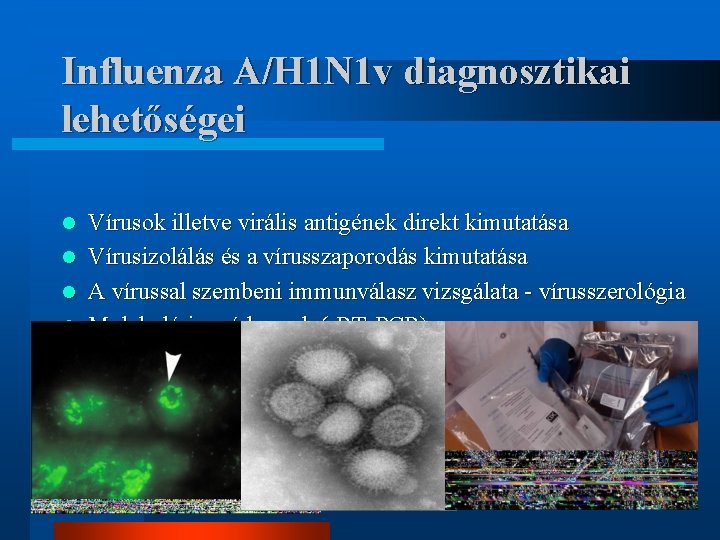 Influenza A/H 1 N 1 v diagnosztikai lehetőségei l l l Vírusok illetve virális