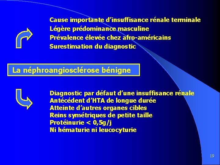 Cause importante d’insuffisance rénale terminale Légère prédominance masculine Prévalence élevée chez afro-américains Surestimation du