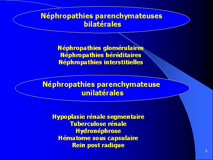 Néphropathies parenchymateuses bilatérales Néphropathies glomérulaires Néphropathies héréditaires Néphropathies interstitielles Néphropathies parenchymateuse unilatérales Hypoplasie rénale