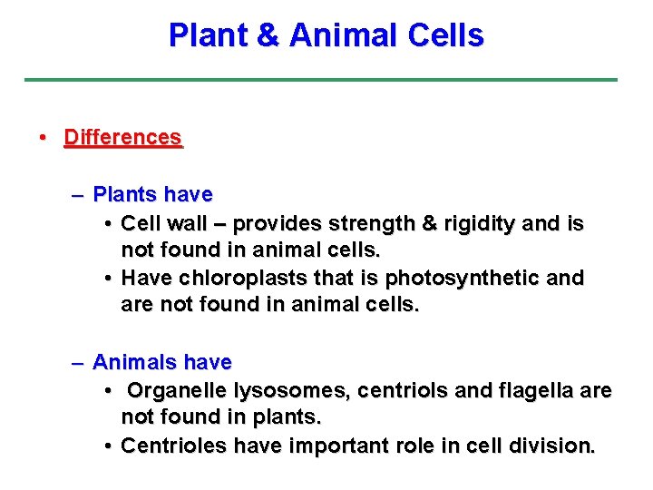 Plant & Animal Cells • Differences – Plants have • Cell wall – provides