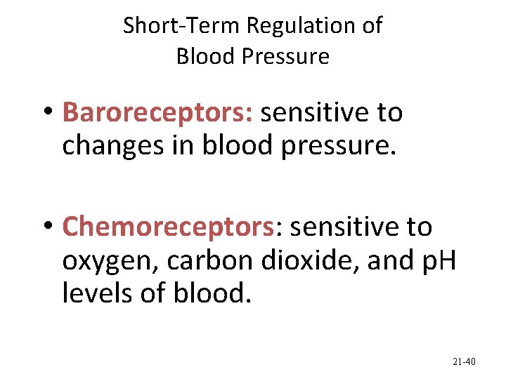 Short-Term Regulation of Blood Pressure • Baroreceptors: sensitive to changes in blood pressure. •