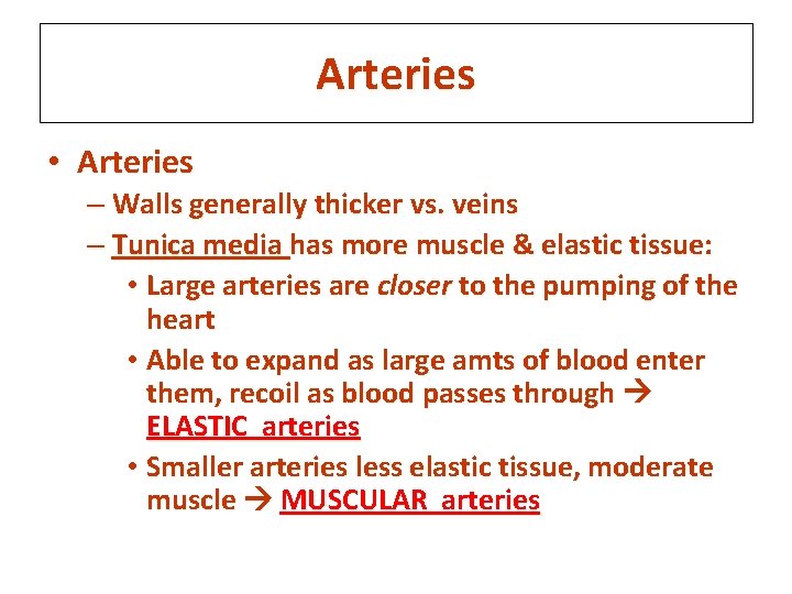 Arteries • Arteries – Walls generally thicker vs. veins – Tunica media has more
