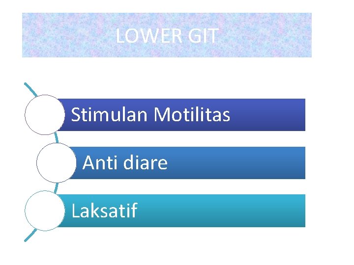 LOWER GIT Stimulan Motilitas Anti diare Laksatif 