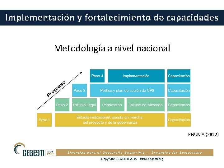 Implementación y fortalecimiento de capacidades Metodología a nivel nacional PNUMA (2012) Sinergias para el