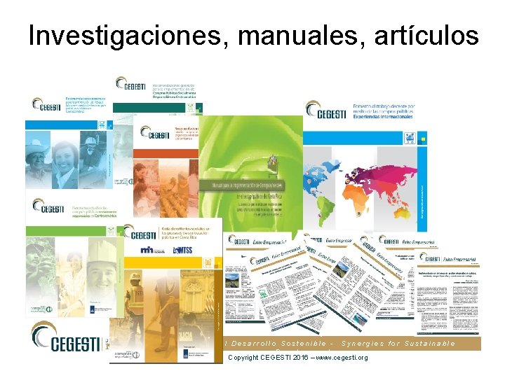 Investigaciones, manuales, artículos Sinergias para el Desarrollo Sostenible - Synergies for Sustainable Development Copyright