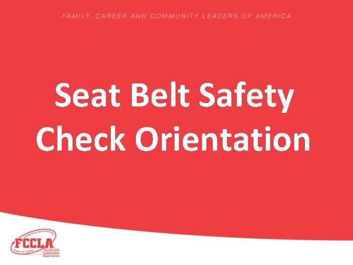Seat Belt Safety Check Orientation 