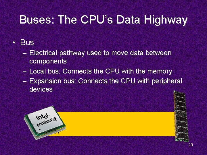 Buses: The CPU’s Data Highway • Bus – Electrical pathway used to move data