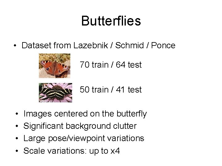 Butterflies • Dataset from Lazebnik / Schmid / Ponce 70 train / 64 test