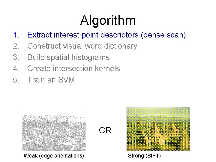Algorithm 1. 2. 3. 4. 5. Extract interest point descriptors (dense scan) Construct visual
