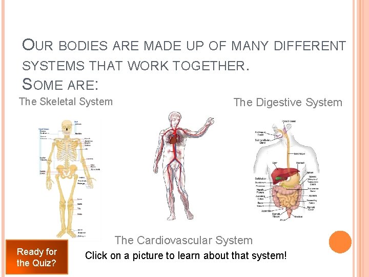 WHATS IN MY BODY Perry Langley Teachers Click