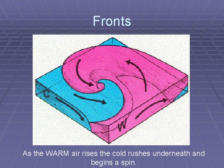 Fronts As the WARM air rises the cold rushes underneath and begins a spin.