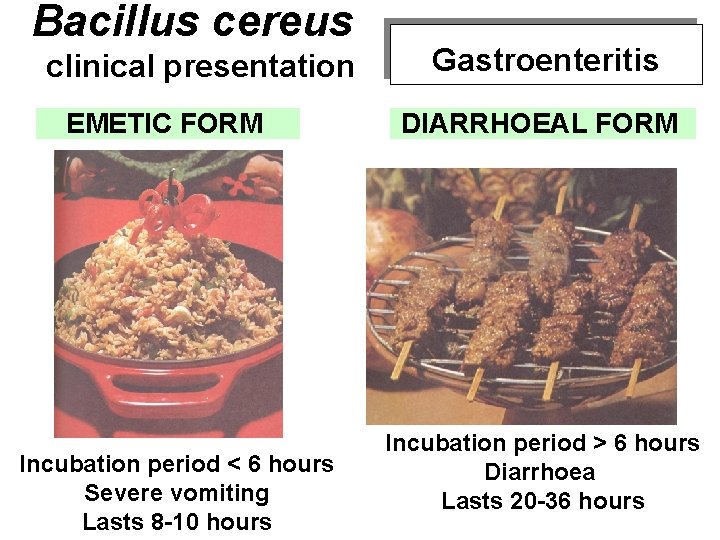 Bacillus cereus clinical presentation EMETIC FORM Incubation period < 6 hours Severe vomiting Lasts