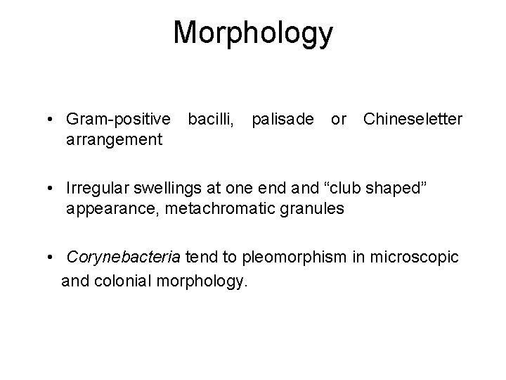 Morphology • Gram-positive bacilli, palisade or Chineseletter arrangement • Irregular swellings at one end