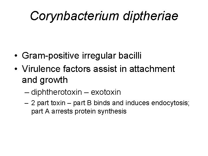Corynbacterium diptheriae • Gram-positive irregular bacilli • Virulence factors assist in attachment and growth