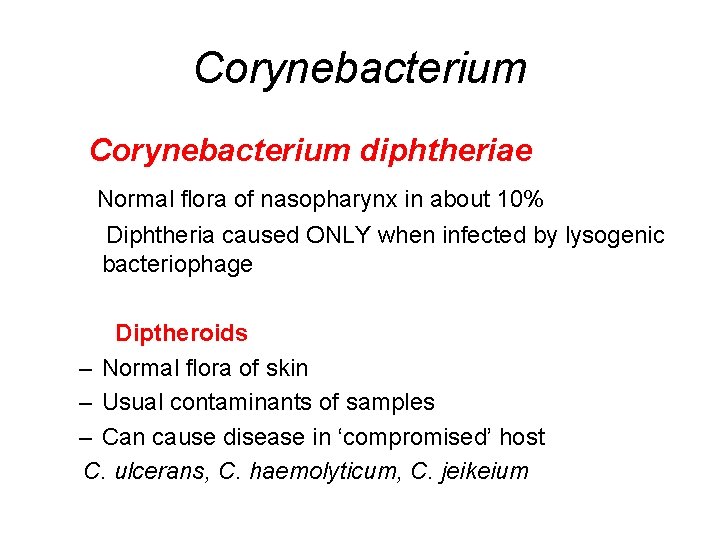 Corynebacterium diphtheriae Normal flora of nasopharynx in about 10% Diphtheria caused ONLY when infected