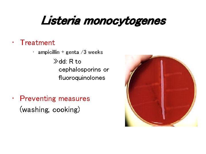 Listeria monocytogenes • Treatment • ampicillin + genta /3 weeks » dd: R to