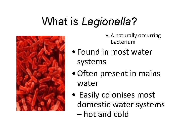 What is Legionella? » A naturally occurring bacterium • Found in most water systems