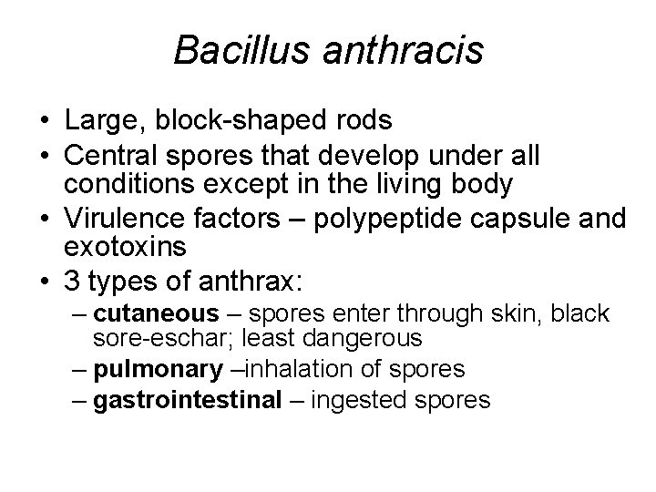Bacillus anthracis • Large, block-shaped rods • Central spores that develop under all conditions