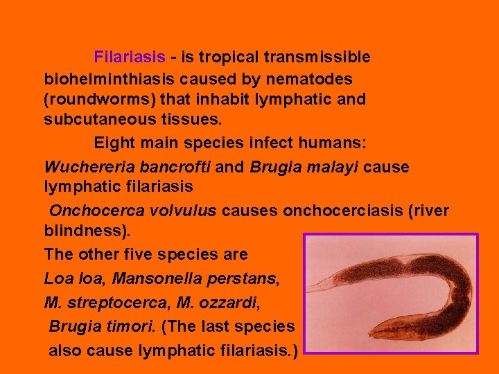 Filariasis - is tropical transmissible biohelminthiasis caused by nematodes (roundworms) that inhabit lymphatic and