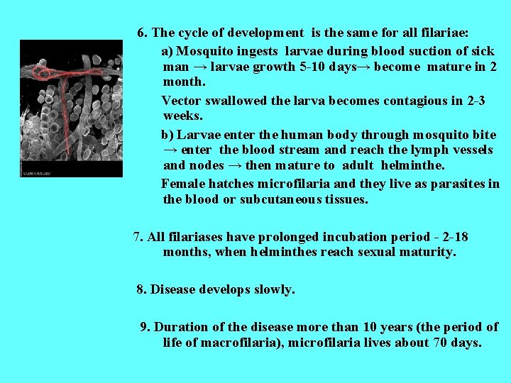 6. The cycle of development is the same for all filariae: a) Mosquito ingests