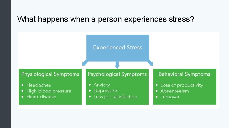 What happens when a person experiences stress? 