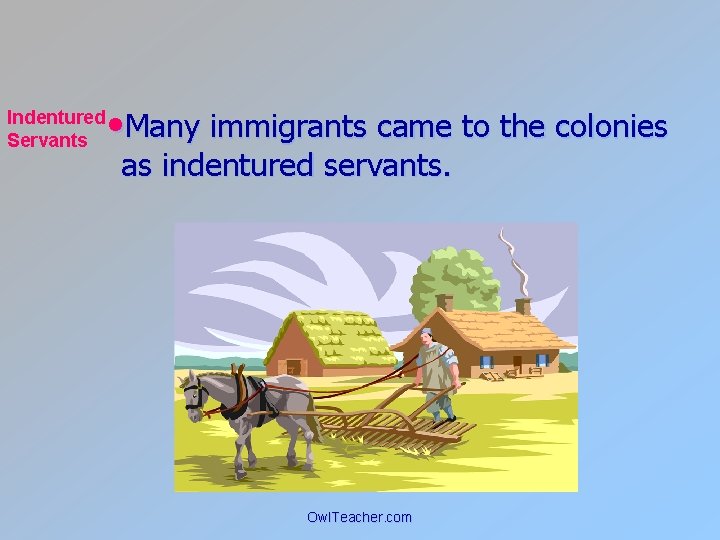 Indentured Servants • Many immigrants came to the colonies as indentured servants. Owl. Teacher.