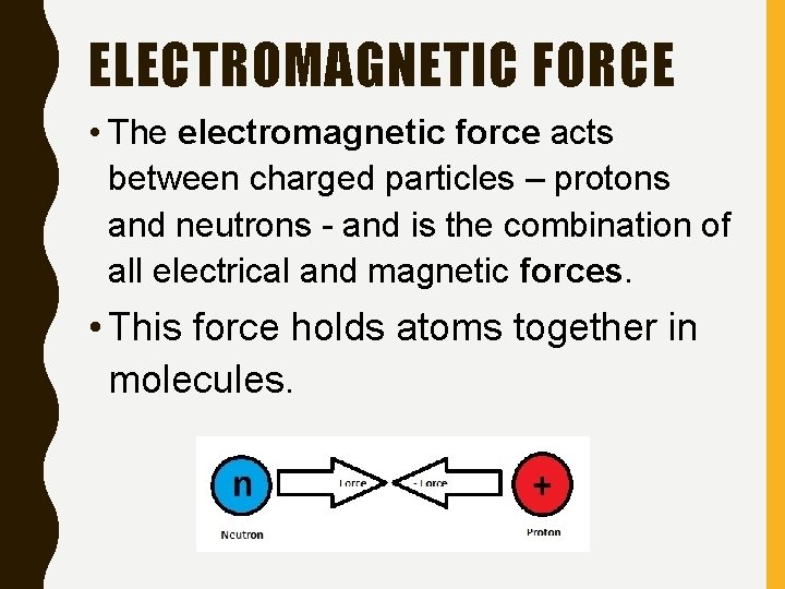 ELECTROMAGNETIC FORCE • The electromagnetic force acts between charged particles – protons and neutrons