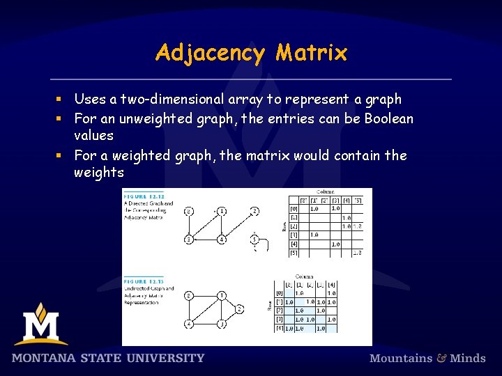 Adjacency Matrix § Uses a two-dimensional array to represent a graph § For an