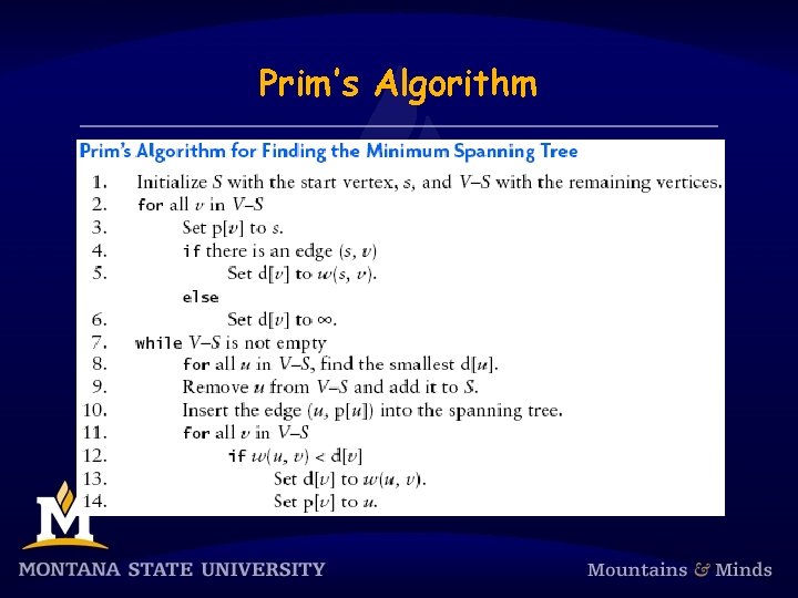 Prim’s Algorithm 