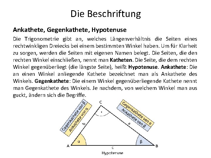 Die Beschriftung Ankathete, Gegenkathete, Hypotenuse Die Trigonometrie gibt an, welches Längenverhältnis die Seiten eines