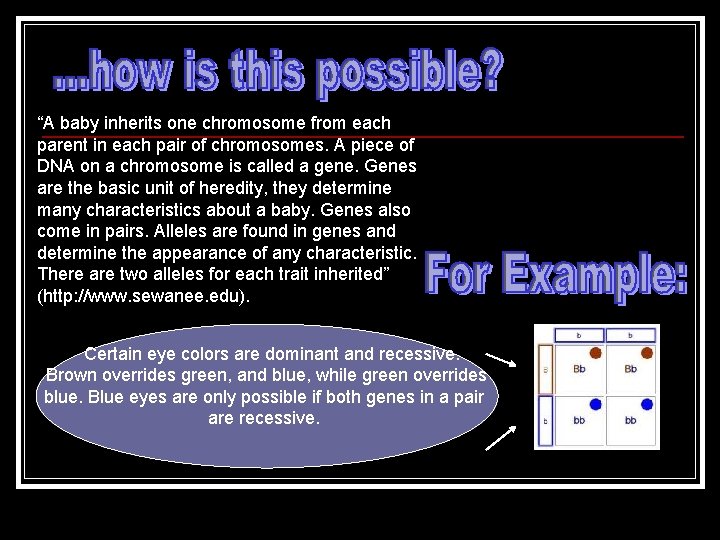 “A baby inherits one chromosome from each parent in each pair of chromosomes. A