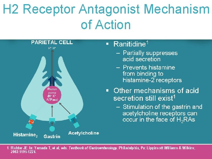 (An H 2 Receptor H 2 Ranitidine Receptor Antagonist Mechanism Antagonist) Mechanism of Action