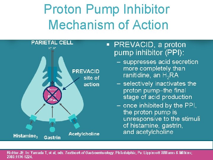 ® (An PREVACID (lansoprazole) Mechanism of Ranitidine H 2 Receptor Proton Pump Inhibitor Antagonist)