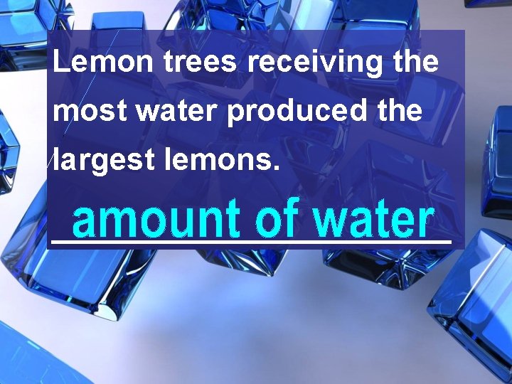 Lemon trees receiving the most water produced the largest lemons. ____________ 