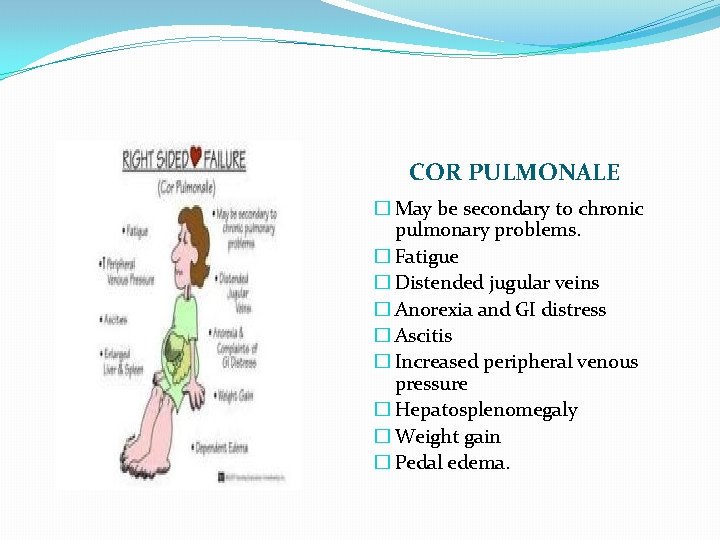 COR PULMONALE � May be secondary to chronic pulmonary problems. � Fatigue � Distended
