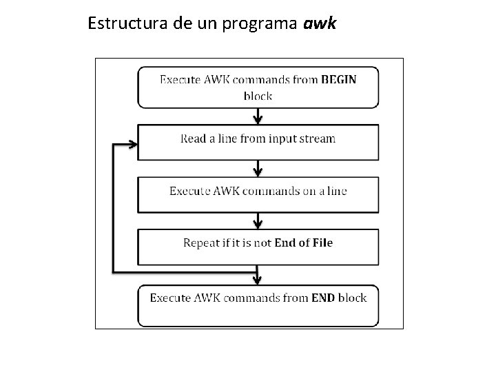 Estructura de un programa awk 