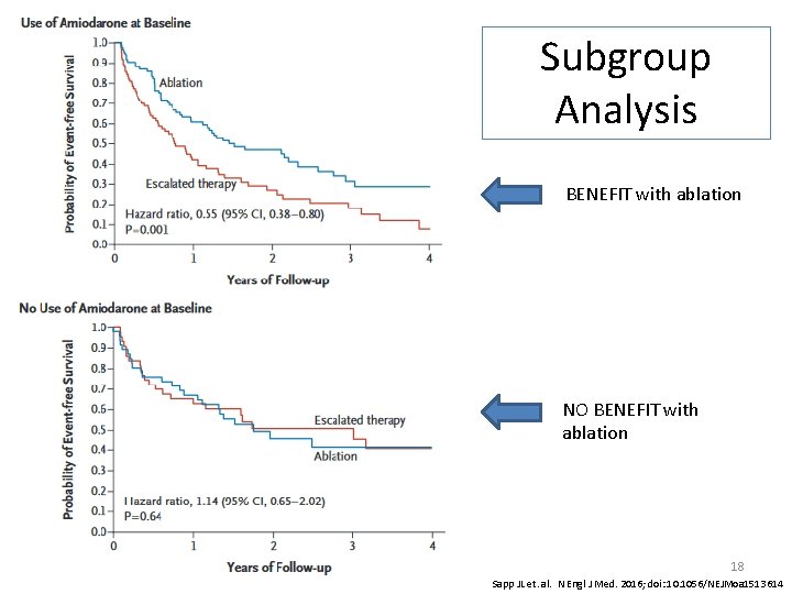 Subgroup Analysis BENEFIT with ablation NO BENEFIT with ablation 18 Sapp JL et. al.