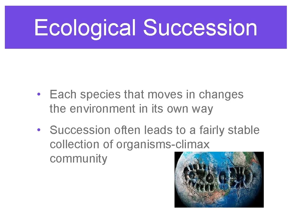 Ecological Succession • Each species that moves in changes the environment in its own