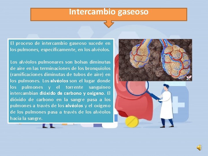 Intercambio gaseoso El proceso de intercambio gaseoso sucede en los pulmones, específicamente, en los