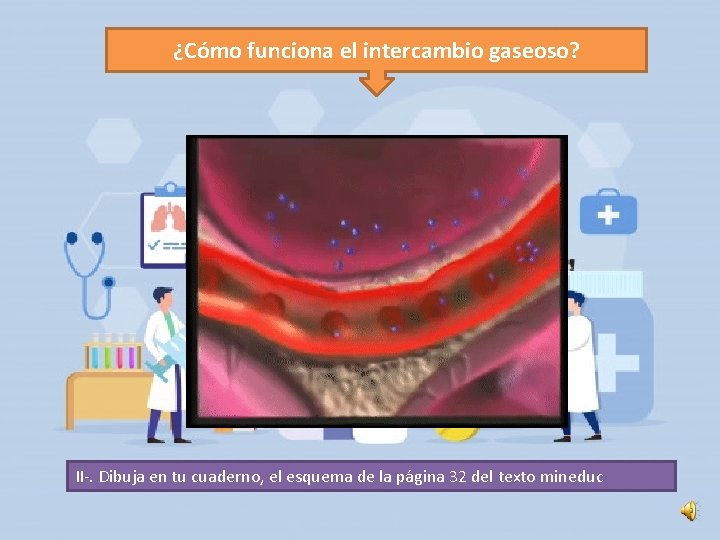 ¿Cómo funciona el intercambio gaseoso? II-. Dibuja en tu cuaderno, el esquema de la