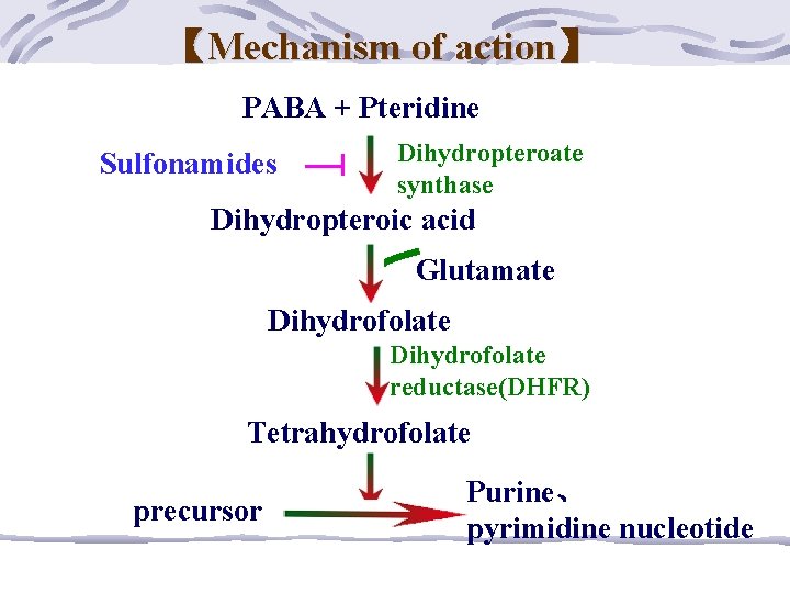 【Mechanism of action】 PABA + Pteridine Sulfonamides Dihydropteroate synthase Dihydropteroic acid Glutamate Dihydrofolate reductase(DHFR)